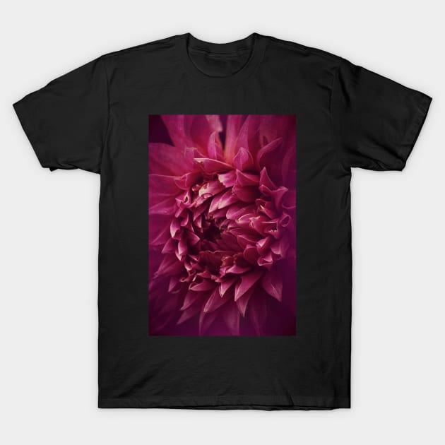 Dahlia Drama T-Shirt by AlexaZari